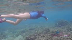 Vera has the best day swimming with turtles.